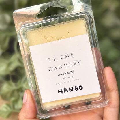 Wax Melts - LAVANDA-MIEL-CANELA-FRUTA DE LA PASIÓN Y ALMENDRA
