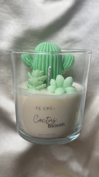 Vela Vitalidad Cactus