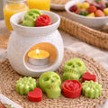 Wax  Melts MÉXICO — Para animar el día