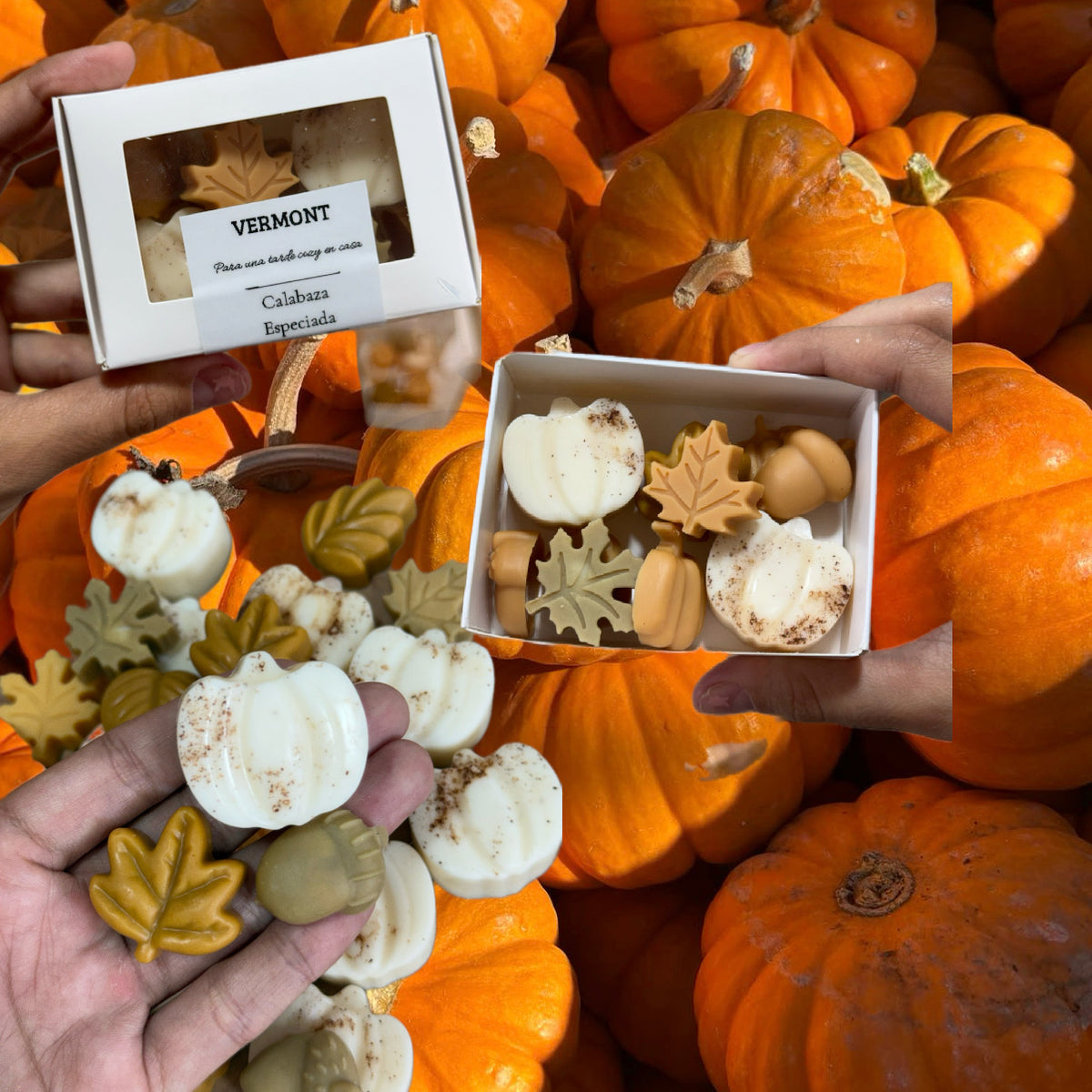 Wax Melts Vermont- calabaza especiada