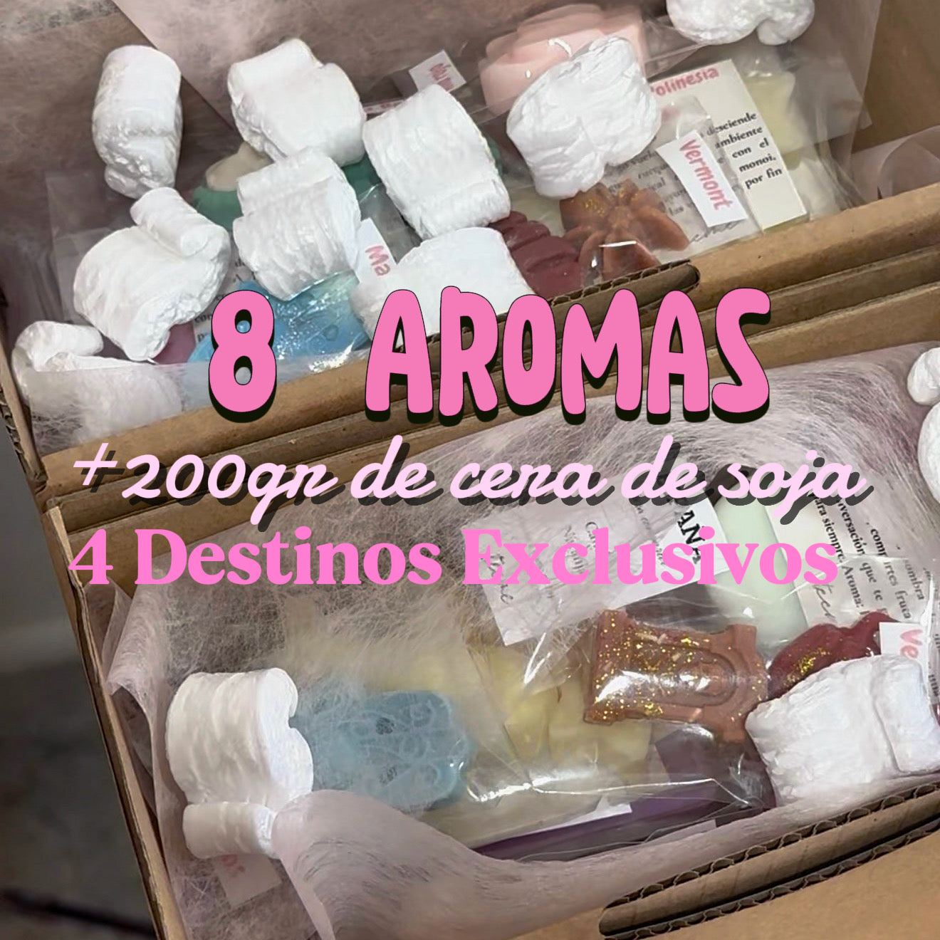 Pasaporte de viajes - Suscripción Mensual Wax Melts