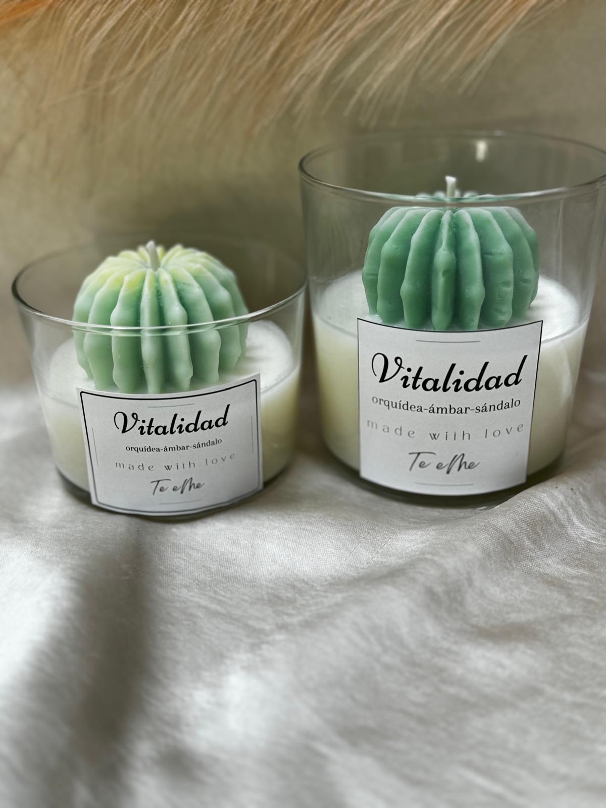 Vela Vitalidad Cactus