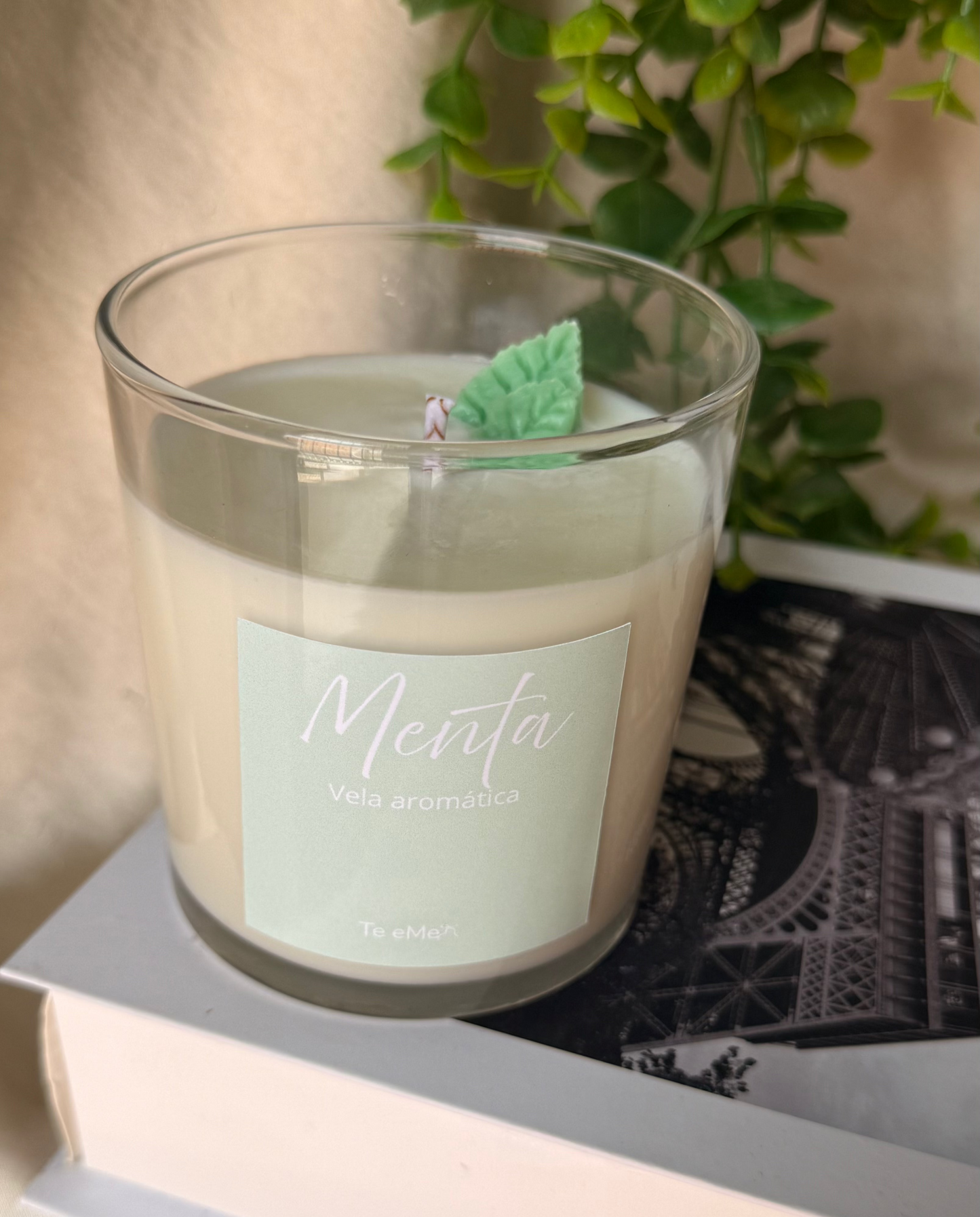 Vela Menta